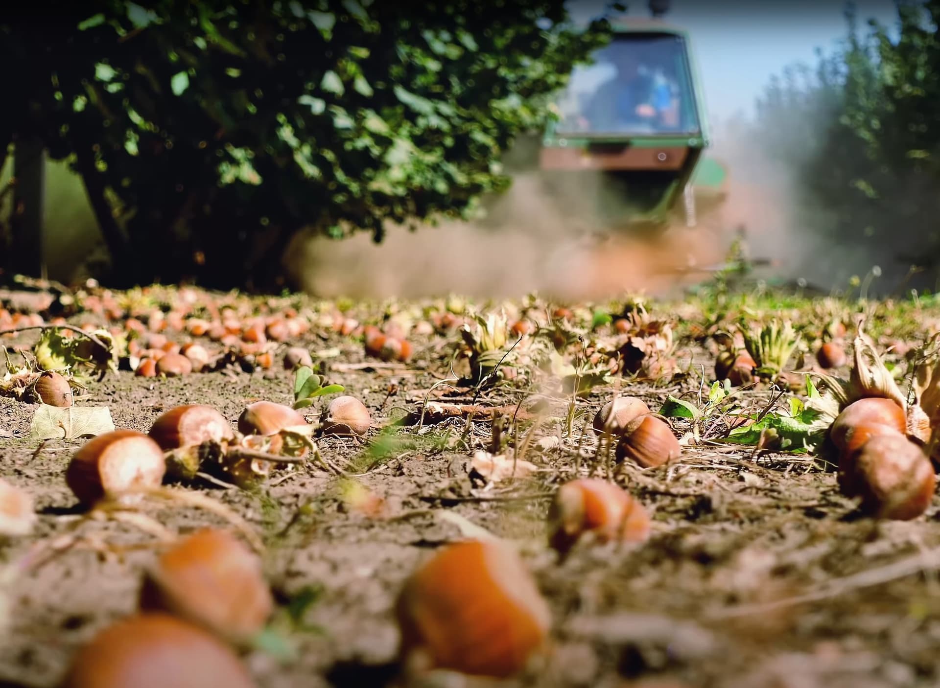 Trezuri je dobio ISIN identifikatore za dva digitalna tokena