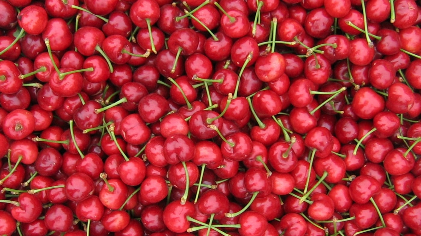 Crešnje su i dalje najveći usev kamenastog voća u Srbiji po obimu