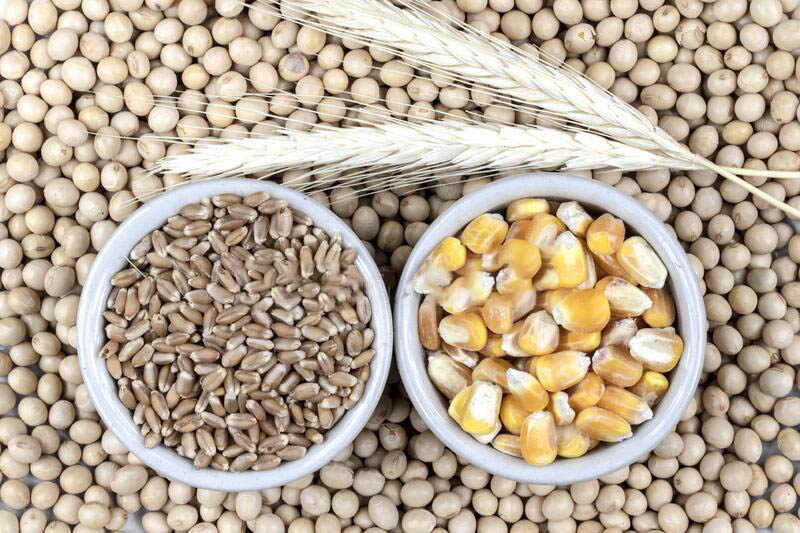 Slaba potražnja je umanjila trgovačku aktivnost na Novosadskoj robnoj berzi, pri čemu su pšenica i k