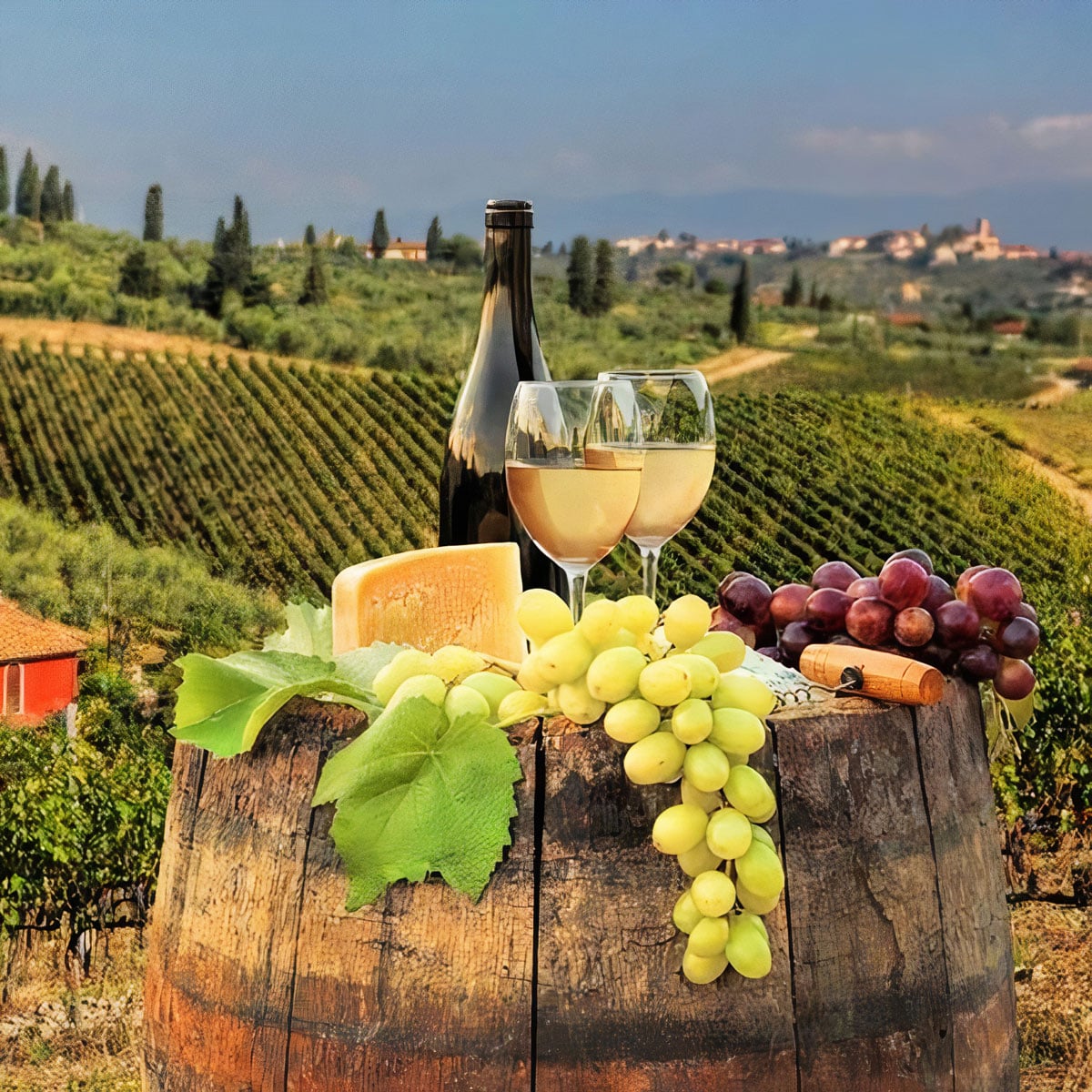 Na prodaju vinarija sa vinogradima u Srbiji