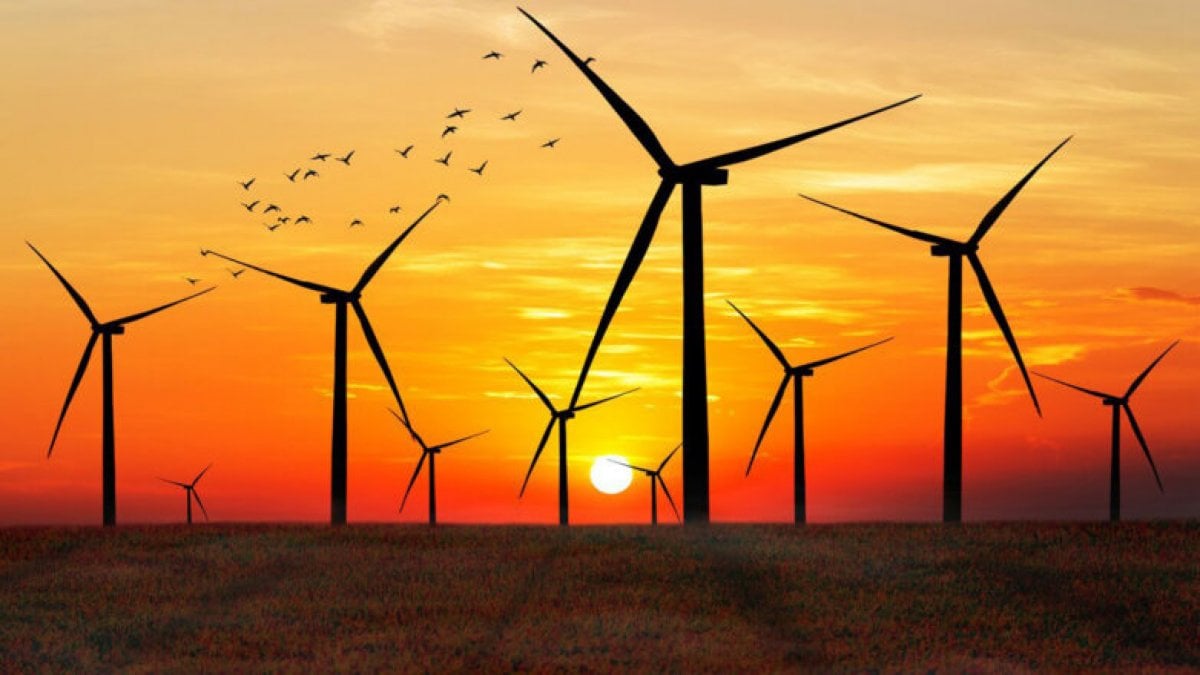 Srbija je obustavila nove studije priključenja za projekte obnovljive energije do 2029. godine