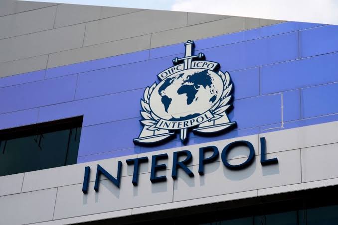 Srbija predlaže otvaranje regionalnog centra Interpola u Beogradu
