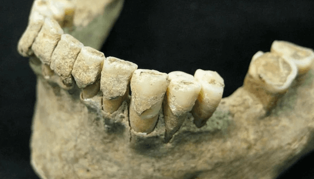 Zub iz srpske pećine pomogao je da se rekonstruiše istorija evropskih neandertalaca