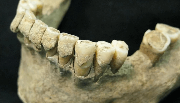 Zub iz srpske pećine pomogao je da se rekonstruiše istorija evropskih neandertalaca