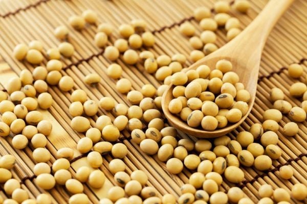 Srbija ušla u top 10 po isporukama organskih žitarica i uljarica u EU