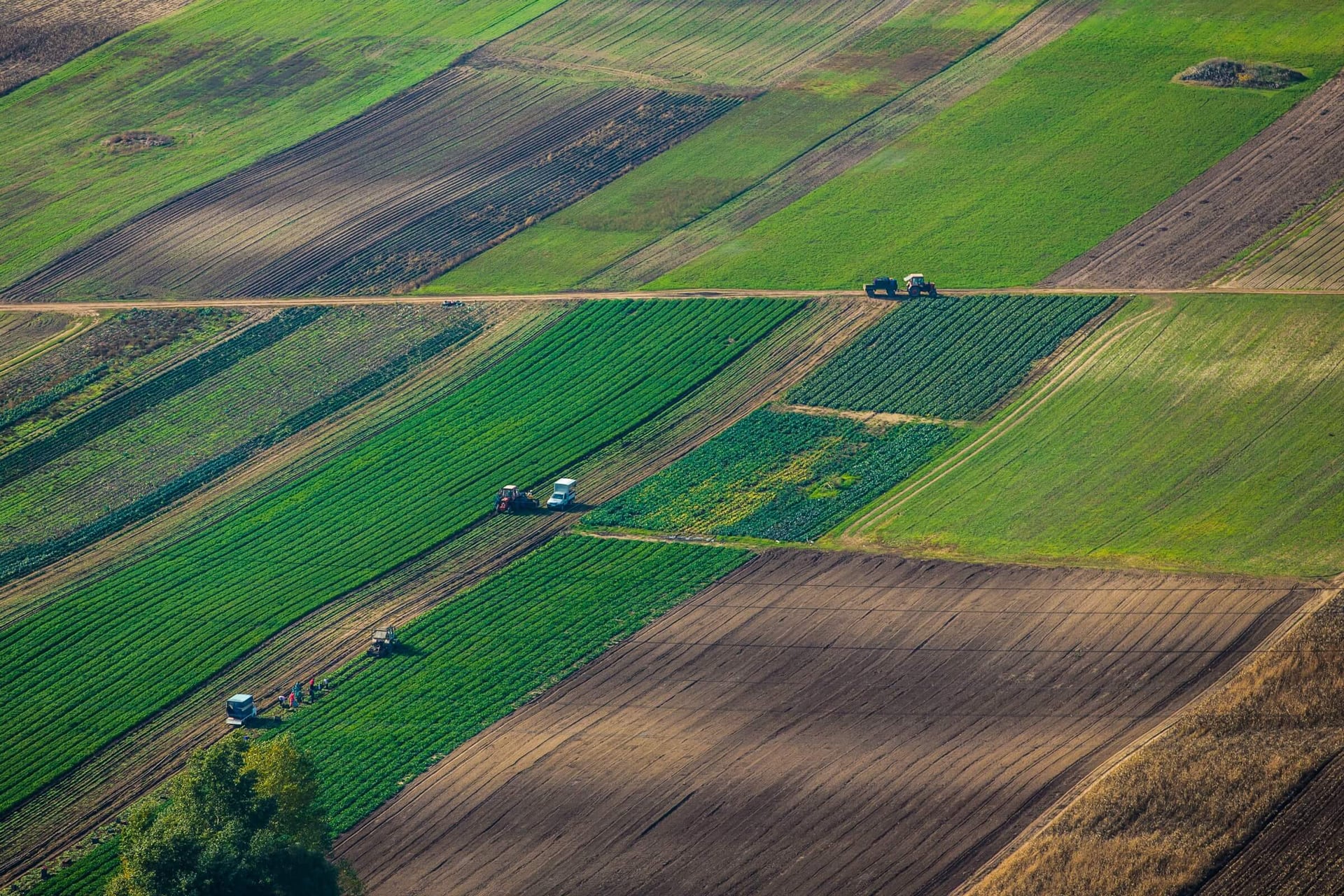 Kako stranac može da kupi poljoprivredno zemljište u Srbiji